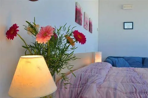 Il Chiesino Guest House Pontedera 0*,